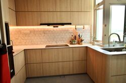 Emerald East (D15), Apartment #556791531